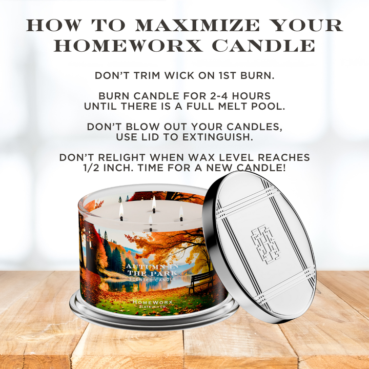 Autumn In The Park 4-wick Candle