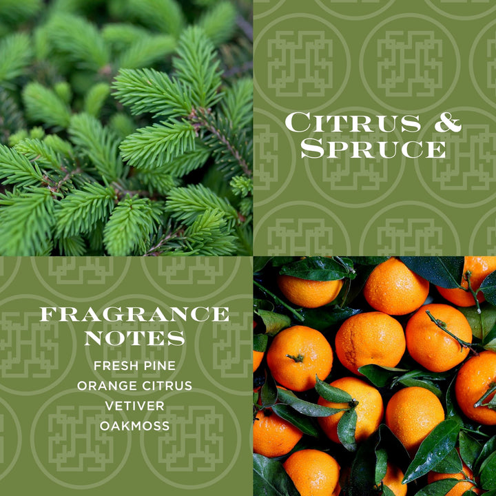 Citrus & Spruce 4-wick Candle