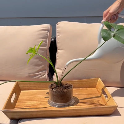 How to Repurpose your HomeWorx Candle Vessel