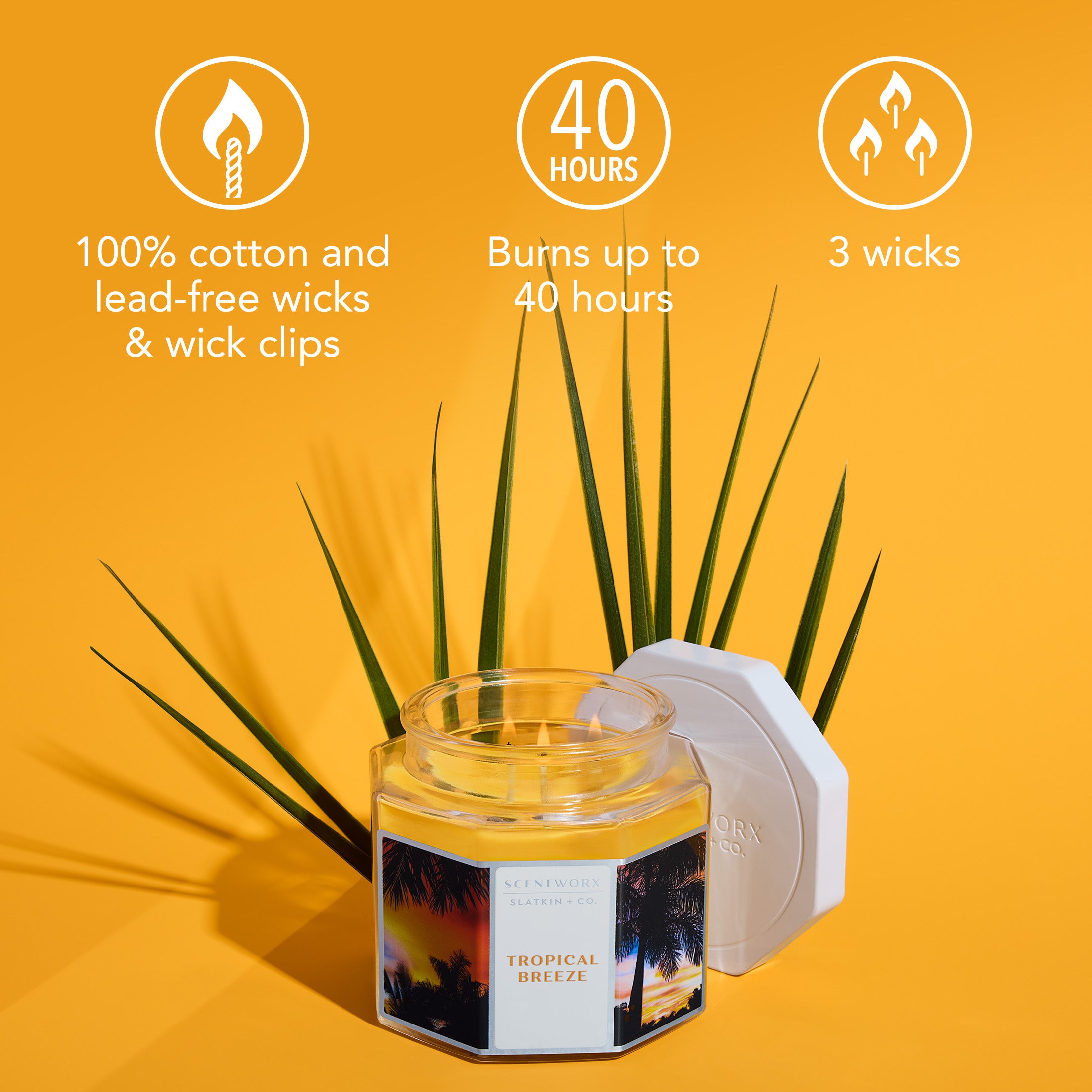 ScentWorx Tropical Breeze 3-Wick Candle – Slatkin + Co.