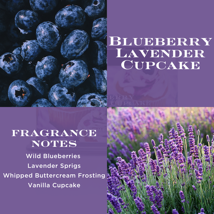 Blueberry Lavender Cupcake Candle