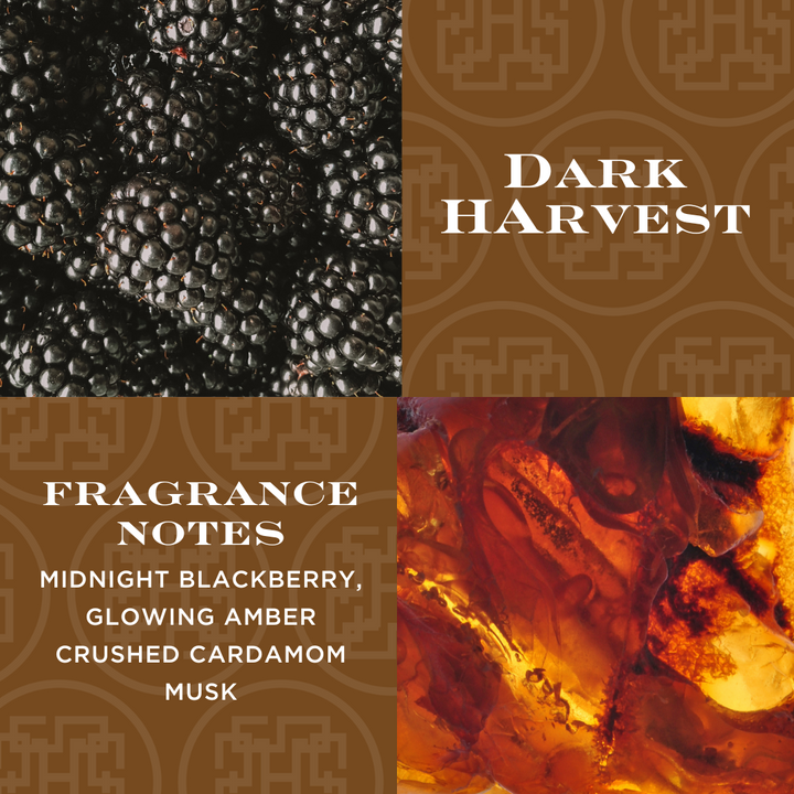 Dark Harvest 4-wick Candle