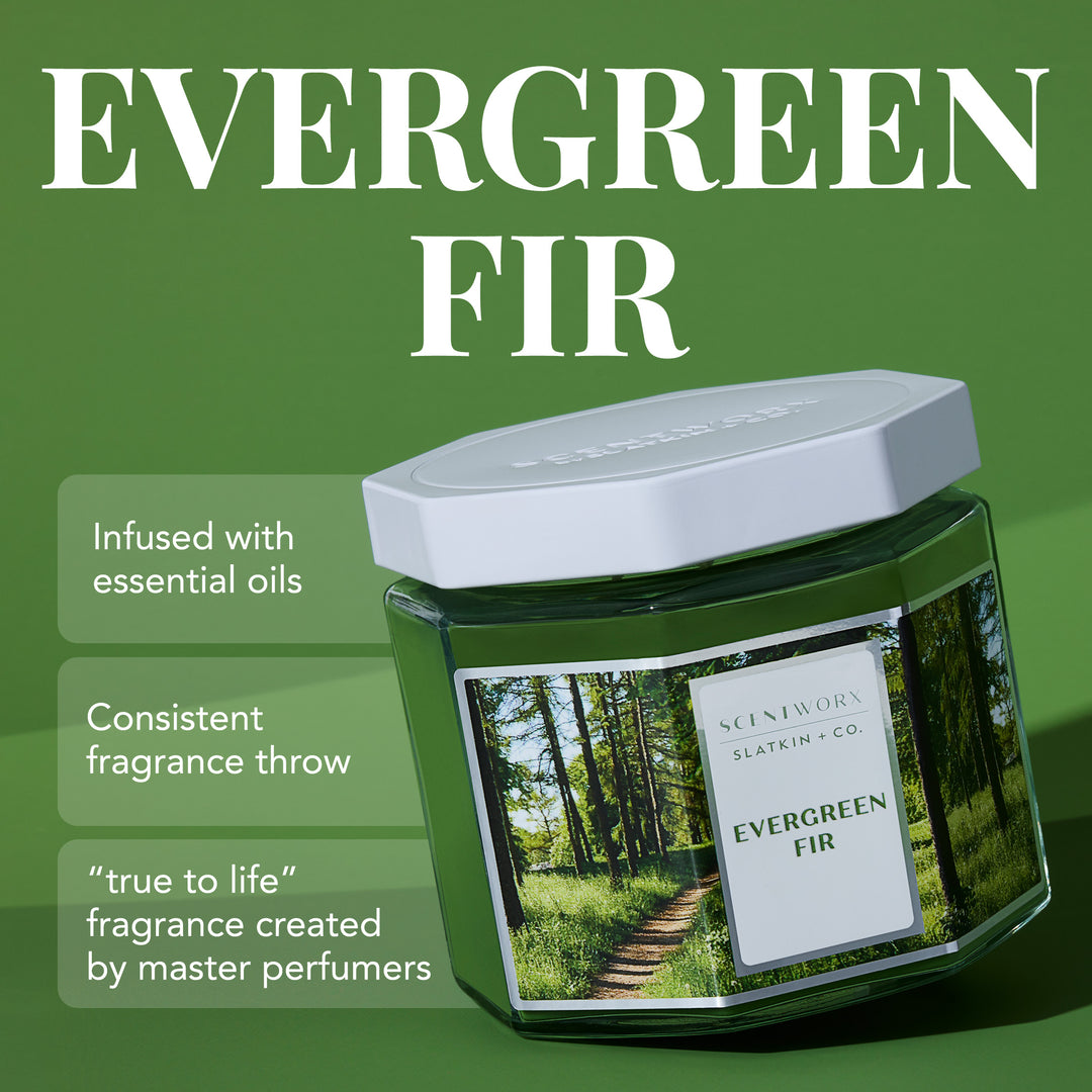 ScentWorx Evergreen Fir 3-Wick Candle