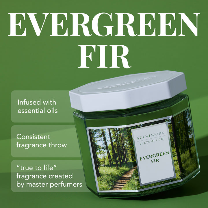 ScentWorx Evergreen Fir 3-Wick Candle