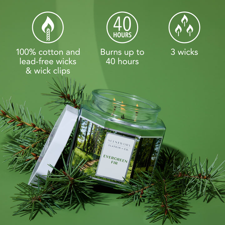 ScentWorx Evergreen Fir 3-Wick Candle