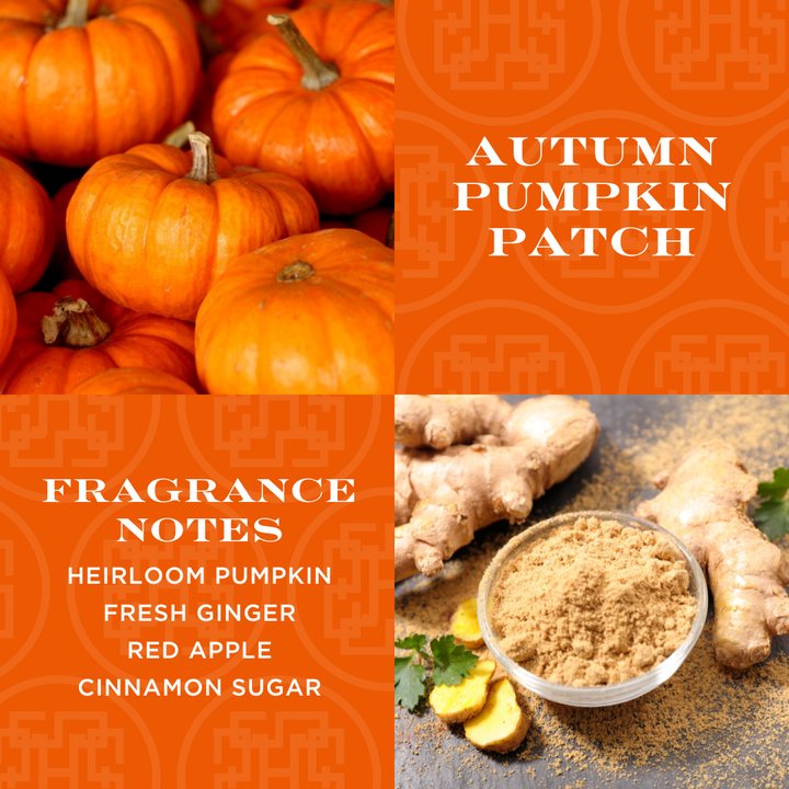 Autumn Pumpkin Patch 3-wick Candle