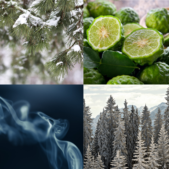 Frosted White Pine 80 oz. 5-Wick Luxe Candle