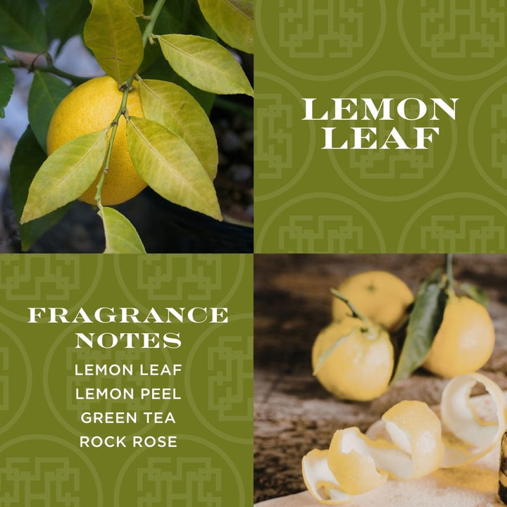 Lemon Leaf 3-wick Candle