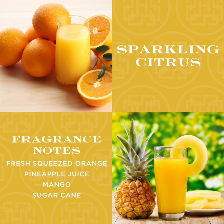 Sparkling Citrus 3 wick Candle
