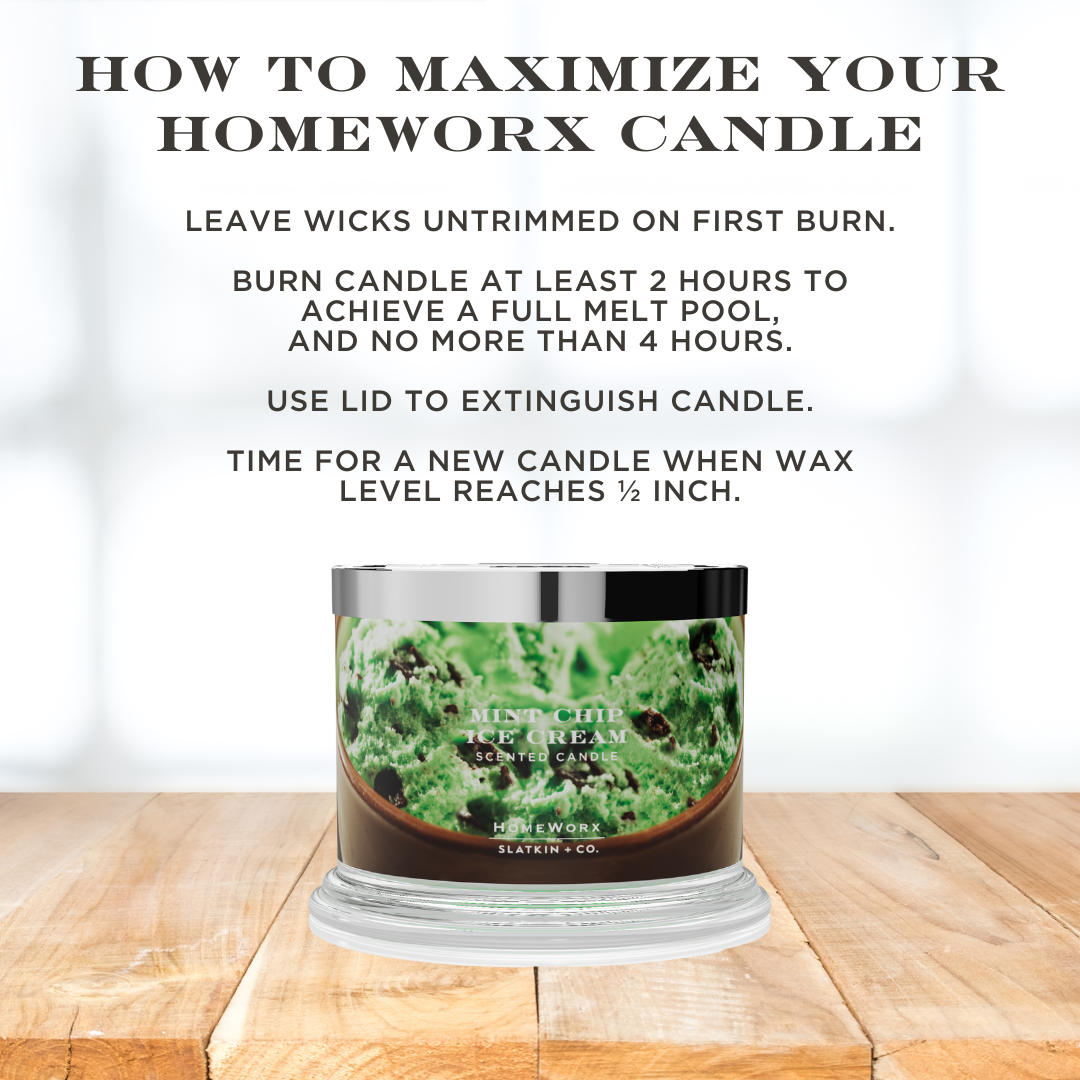 Mint Chip Ice Cream 3 Wick Candle