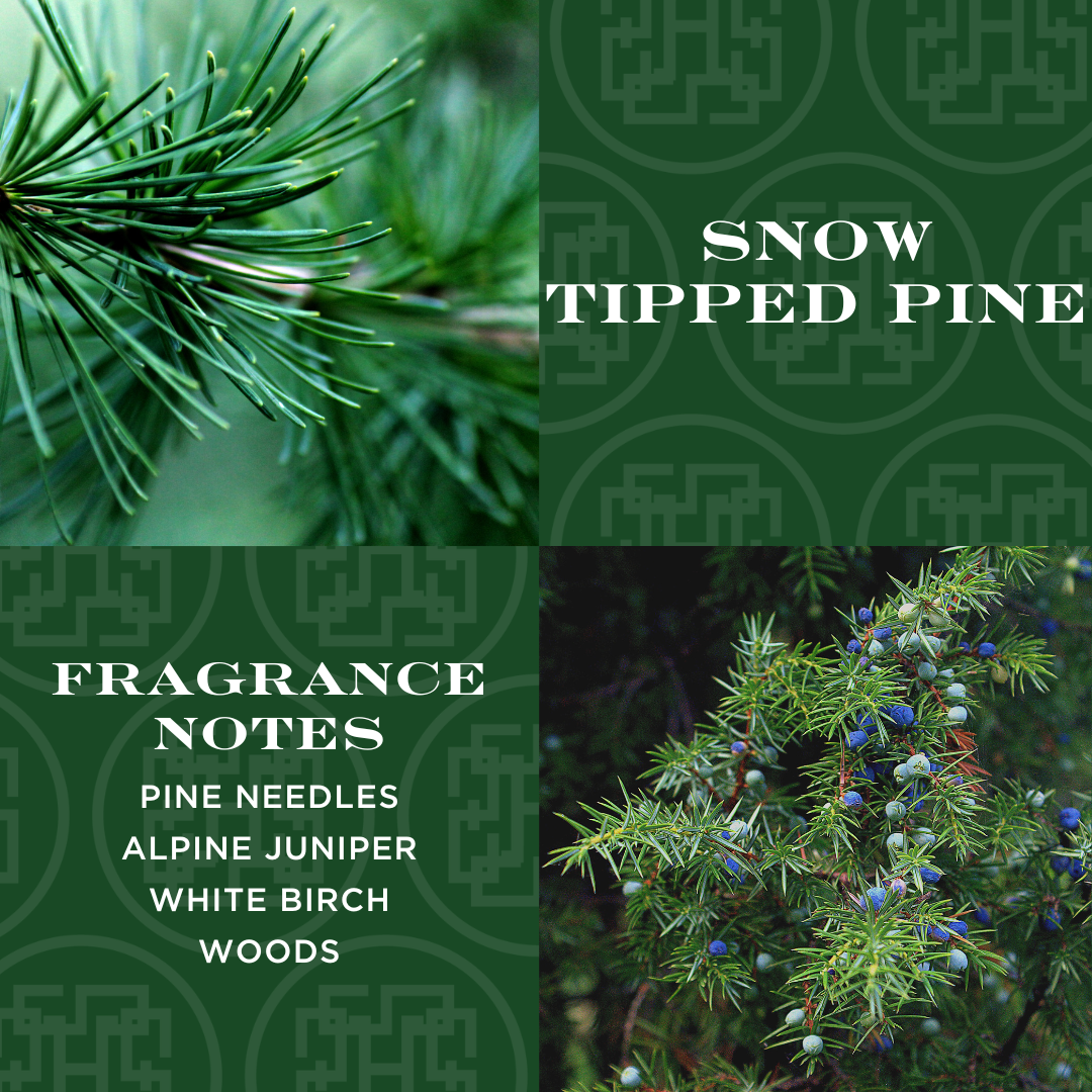 Snow Tipped Pine 4-wick Candle