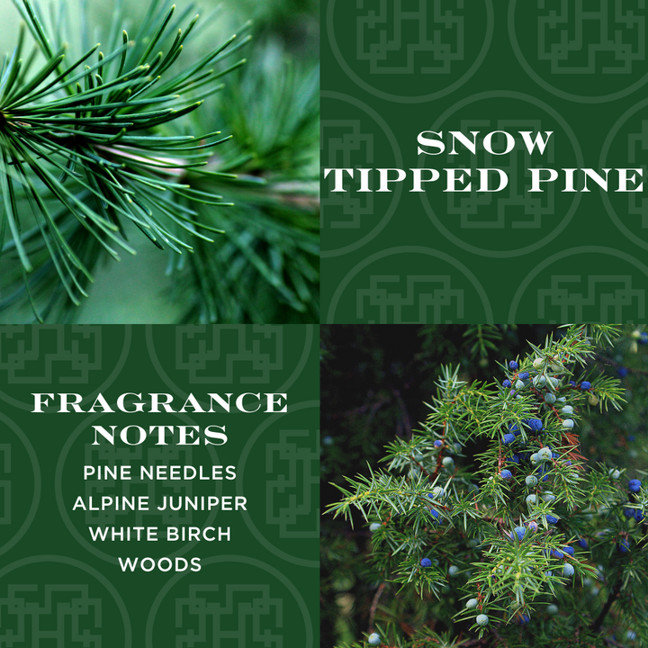 Snow Tipped Pine 4-wick Candle