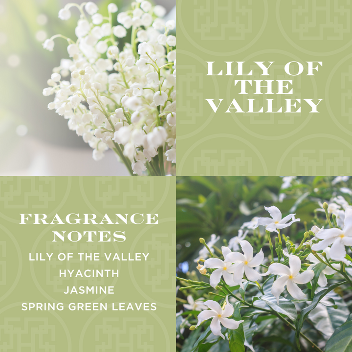 Lily of the Valley Specialty Candle with Gift Box – Slatkin + Co.