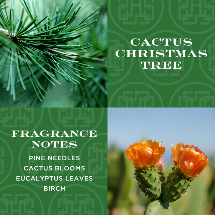 Cactus Christmas Tree 4-wick Candle