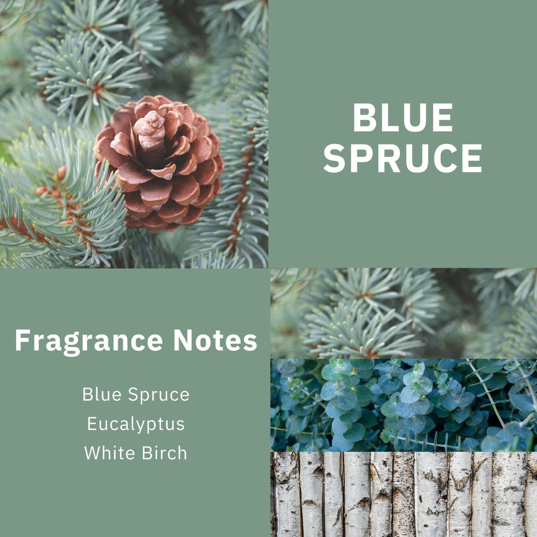 ScentWorx Blue Spruce Set of Two 3-Wick Candles