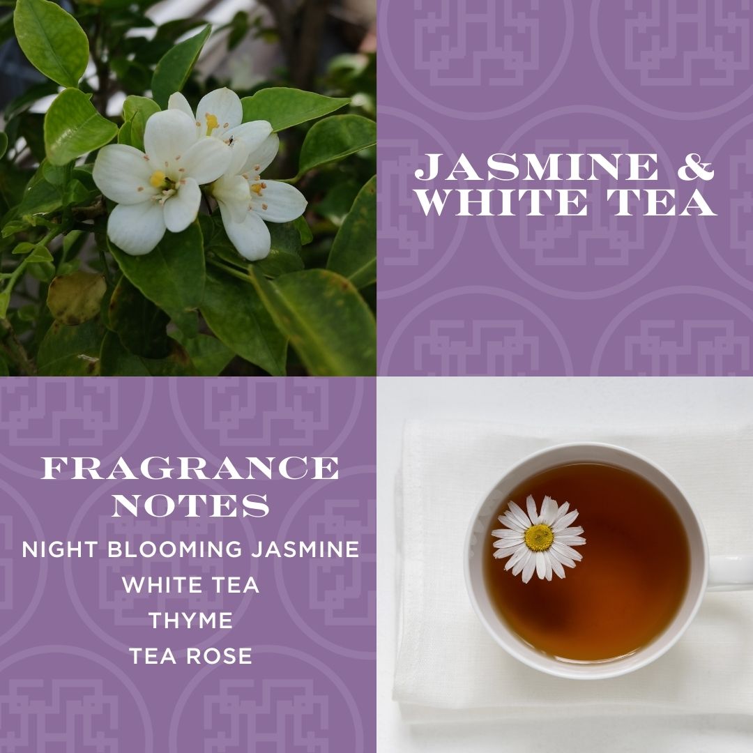 Jasmine & White Tea 3-wick Candle