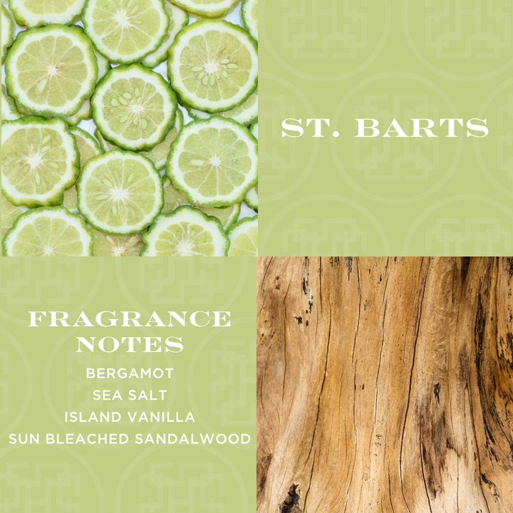 St. Barts Reed Stick Diffuser
