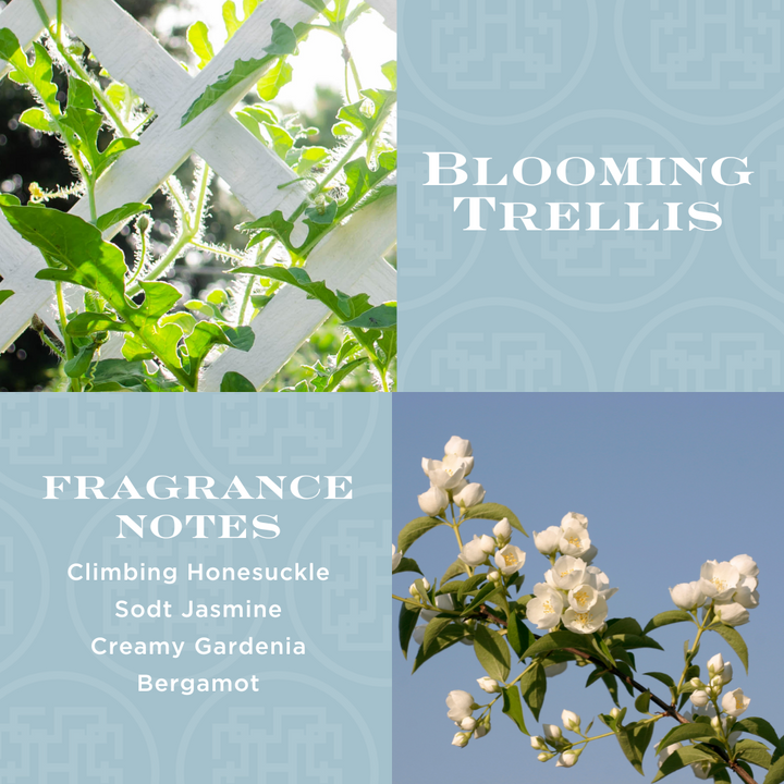 Blooming Trellis Gel Hand Soap