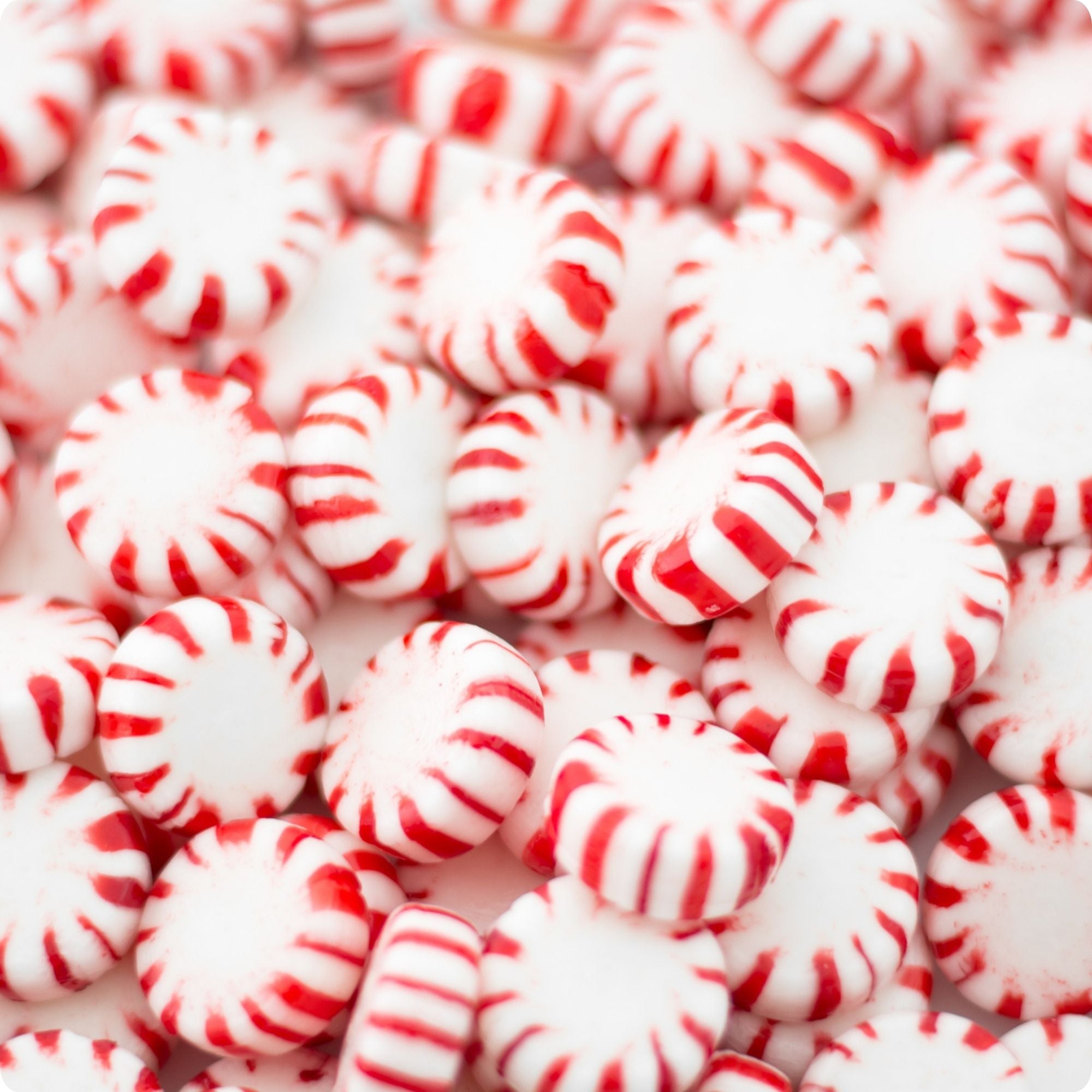 オリジナル　Peppermint Parlour - 7インチ DWELL212 Peppermint Hand Wash – Slatkin + Co.