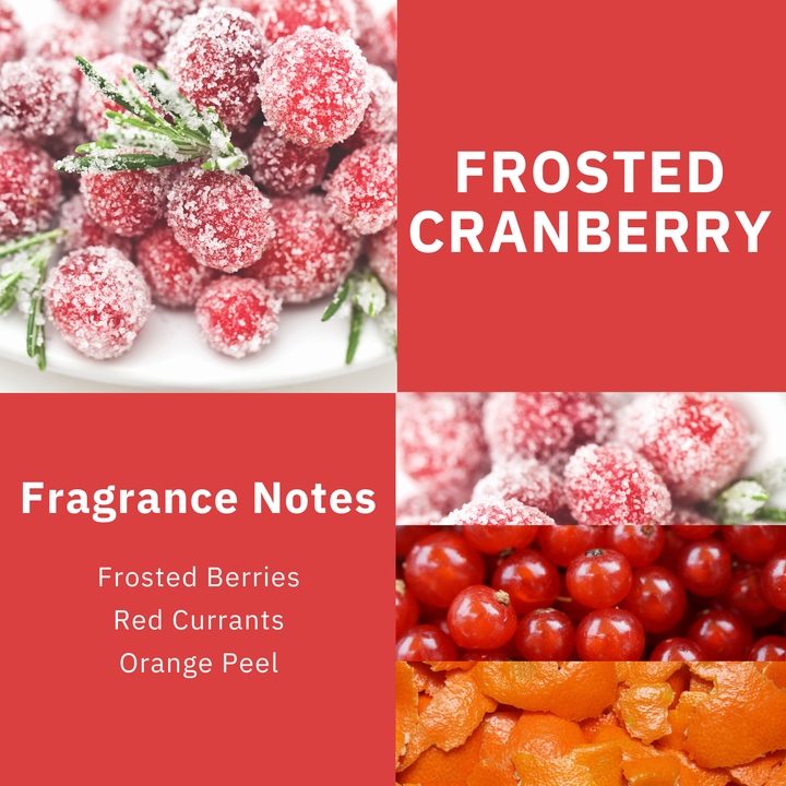 ScentWorx Frosted Cranberries Set of Two 3-Wick Candles