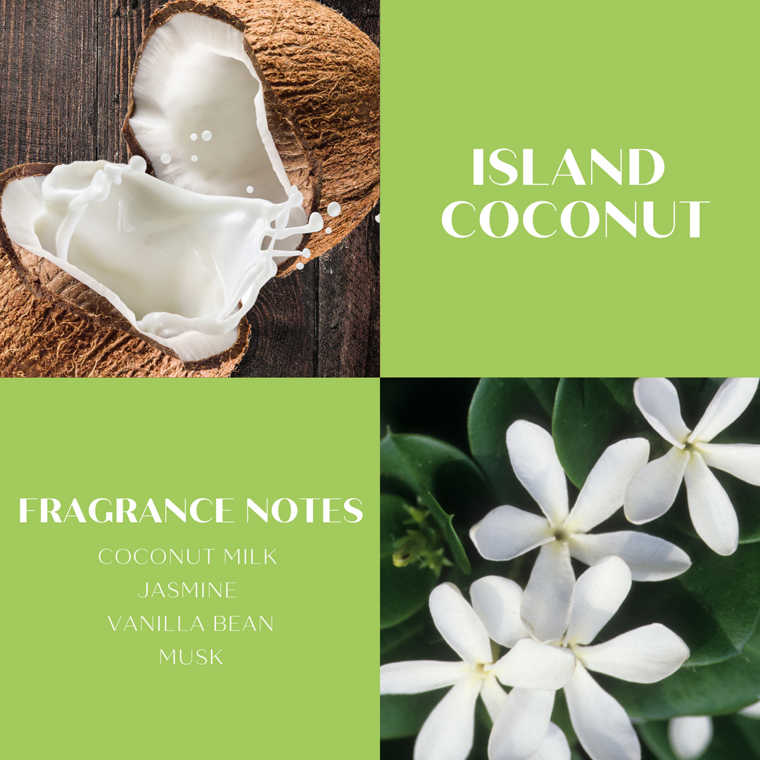 ScentWorx Island Coconut 8 oz Fragrance Mist – Slatkin + Co.