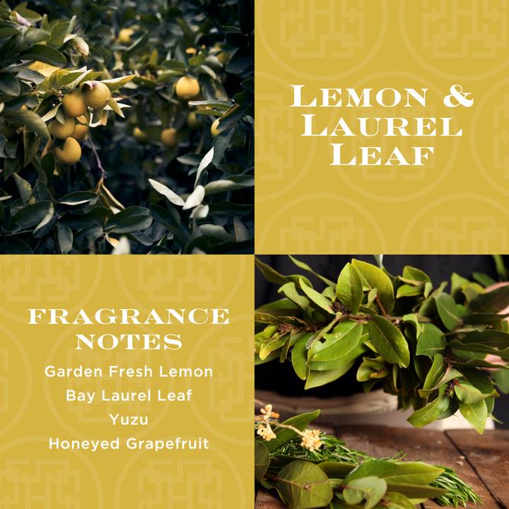 Lemon & Laurel Leaf Candle