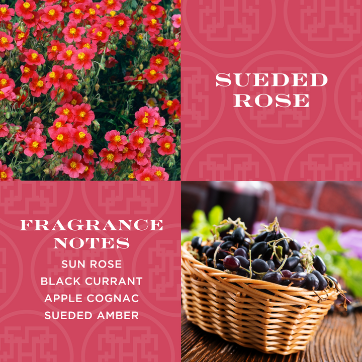Sueded Rose Specialty Candle with Gift Box