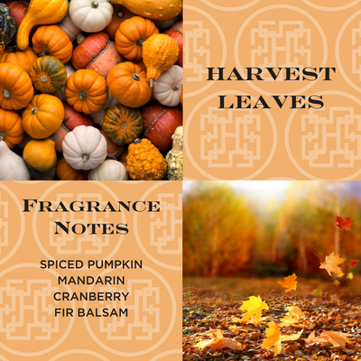 Harvest Leaves Set of 4 Diffuser Oil Refills