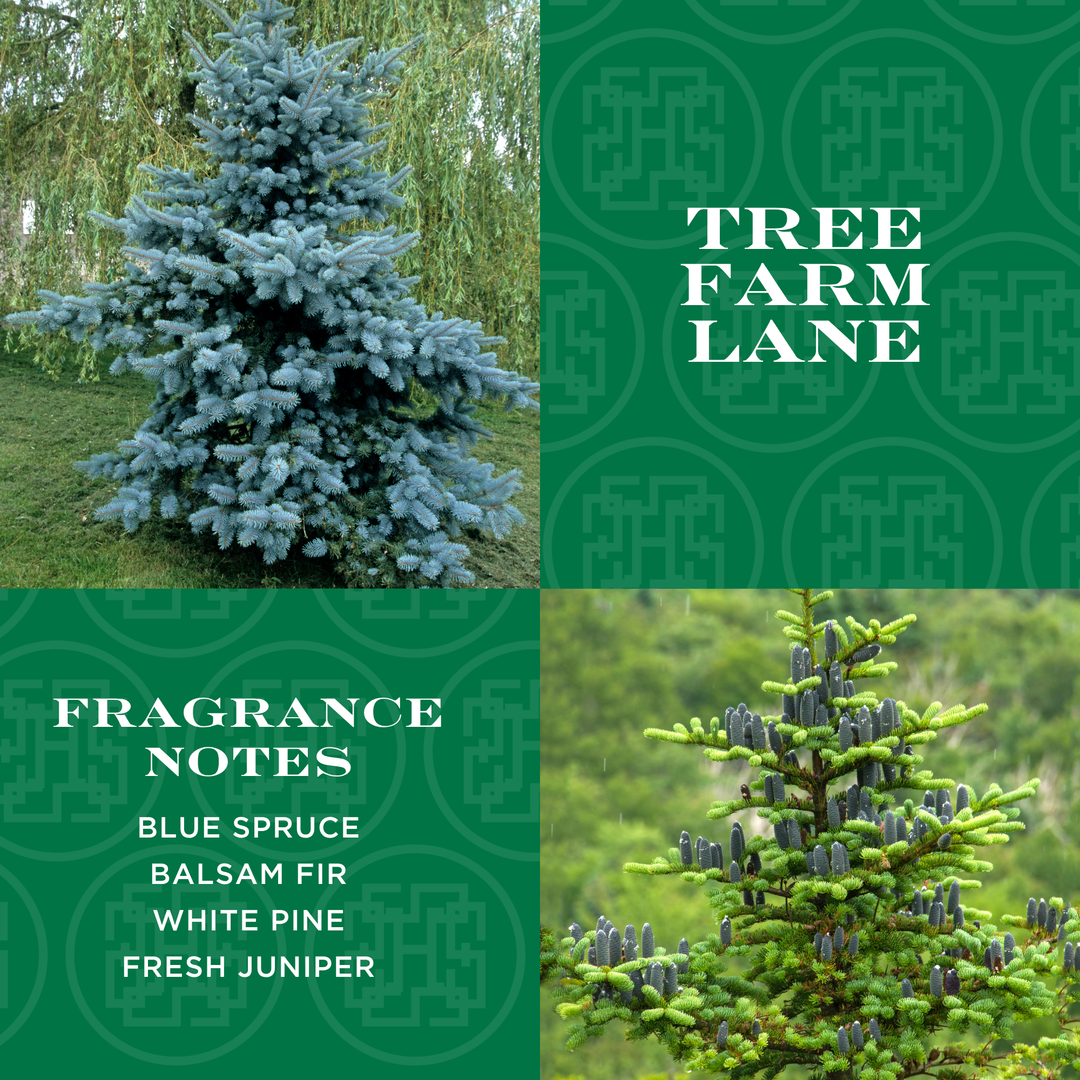 Tree Farm Lane 1-Wick Candle