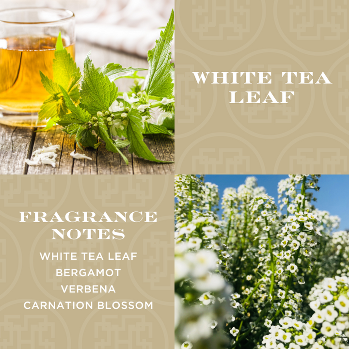 White Tea Leaf 4-wick Specialty Candle with Gift Box